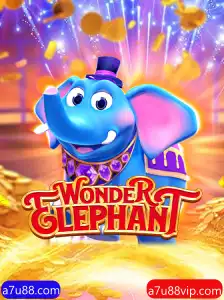 Descubra o Maravilhoso Mundo de WonderElephant